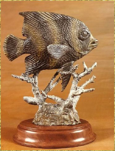 French Angelfish